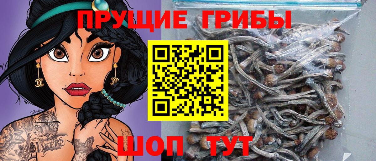 Псилоцибиновые грибы Cubensis Симферополь